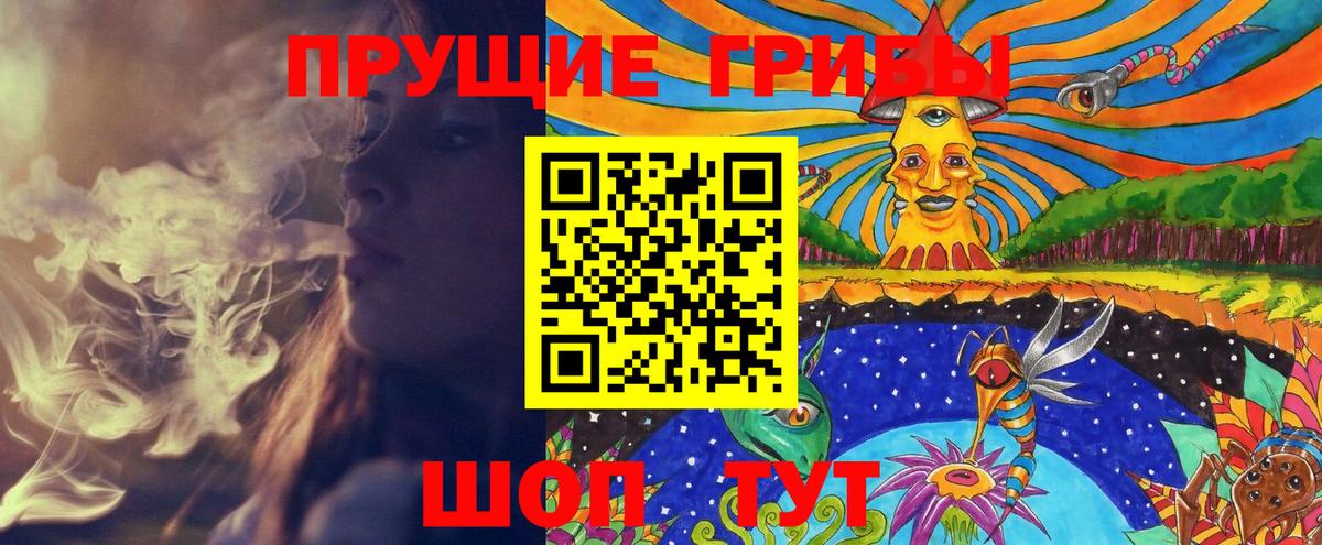 где купить наркоту  Псилоцибиновые грибы Magic Shrooms  Вход с VPN  Назрань 