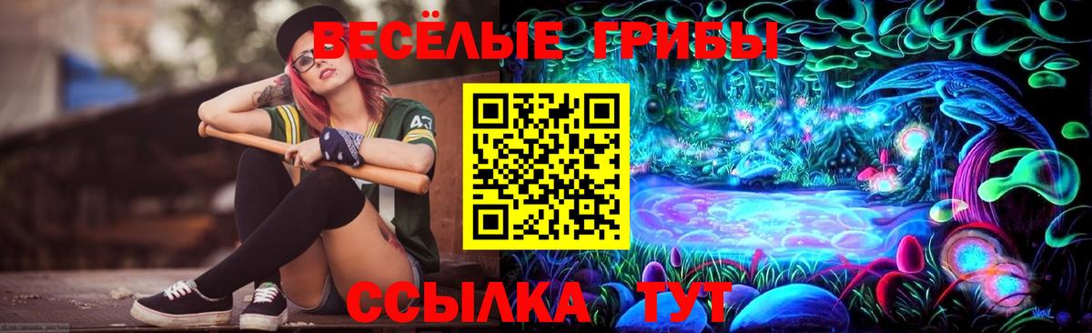 Псилоцибиновые грибы Psilocybine cubensis Назрань